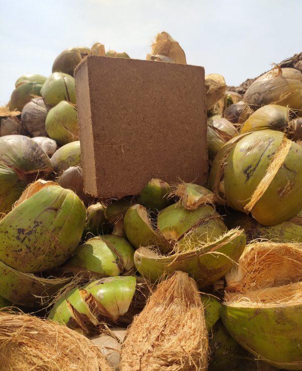 Bán Sỉ Bánh Xơ Dừa Nén - Mụn dừa ép khối xuất khẩu đạt tiêu chuẩn 11