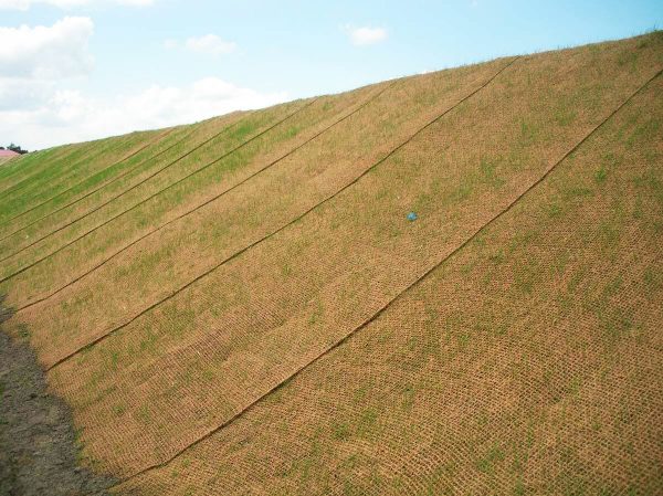 Thảm Lưới xơ dừa trải chân đồi gốc nghiên trồng cây chống xói mòn đất 4