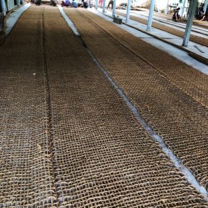 Thảm Lưới xơ dừa trải chân đồi gốc nghiên trồng cây chống xói mòn đất 1
